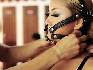 Seductive pervert matinee tempts sexy Spanish crowds at Amnesia Ibiza 2014